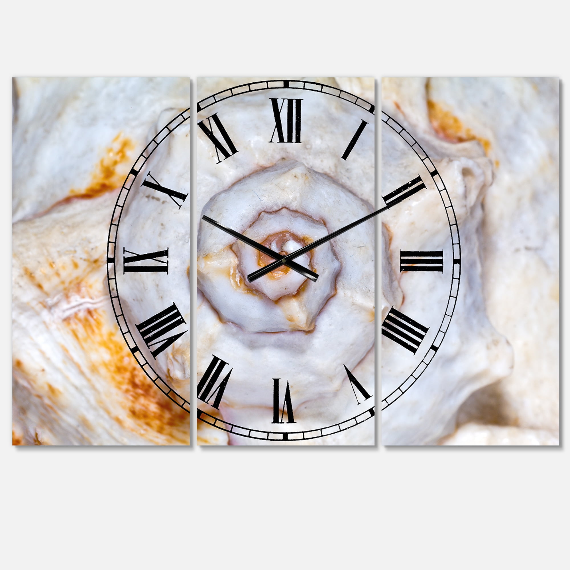Designart 'Great Skeleton of Sea Shell' Beach Style Wall Clock