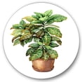 thumbnail image 1 of Designart 'Green Croton In Clay Flowerpot' Traditional Circle Metal Wall Art 11x11 - Disc of 11, 1 of 5