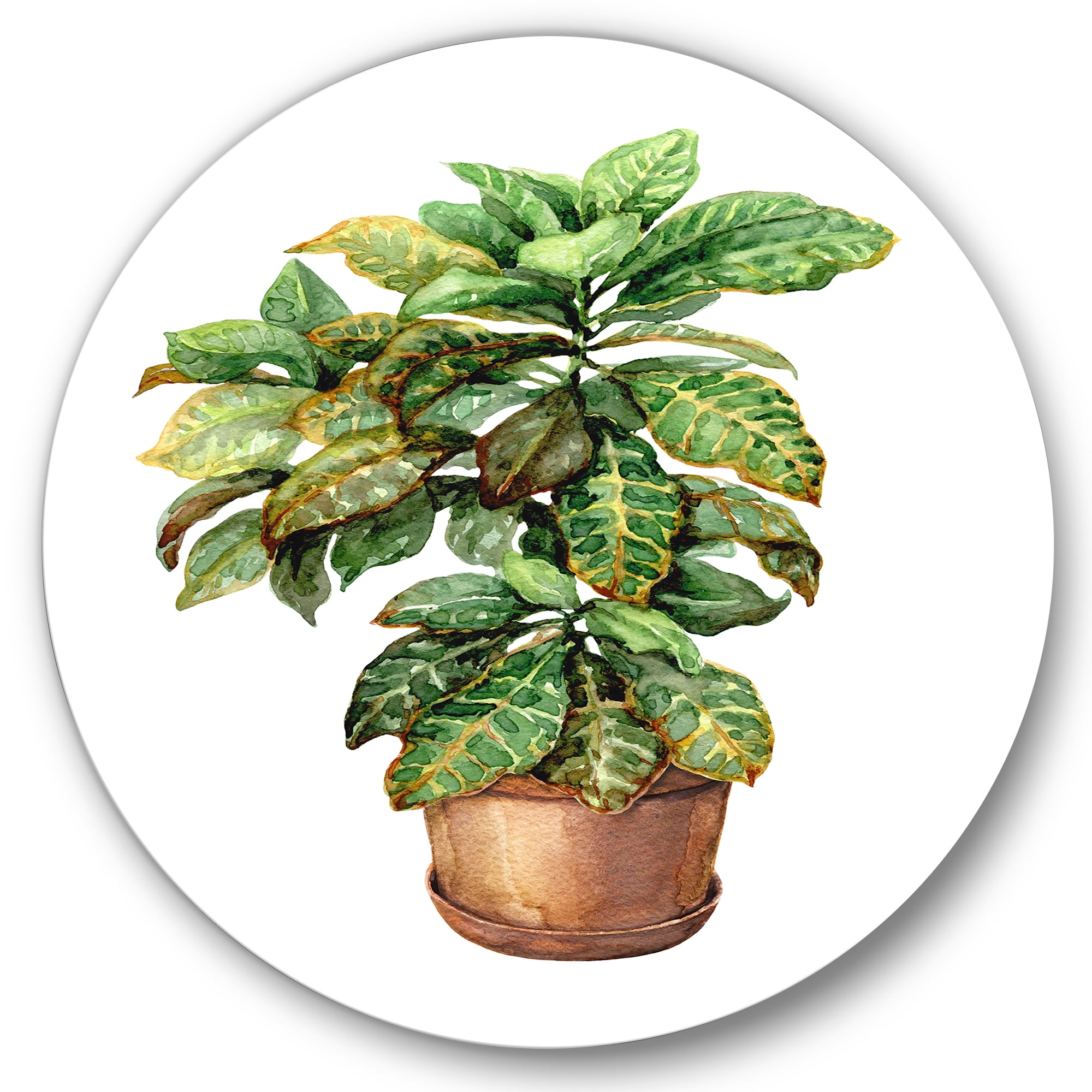 Designart 'Green Croton In Clay Flowerpot' Traditional Circle Metal Wall Art 29x29 - Disc of 29