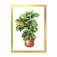 thumbnail image 1 of Designart 'Green Croton In Clay Flowerpot' Traditional Framed Art Print, 1 of 4