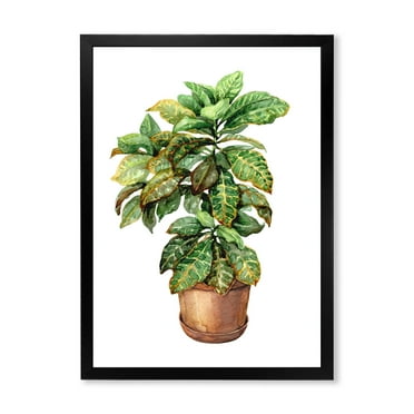 Designart 'Green Croton In Clay Flowerpot' Traditional Framed Art Print