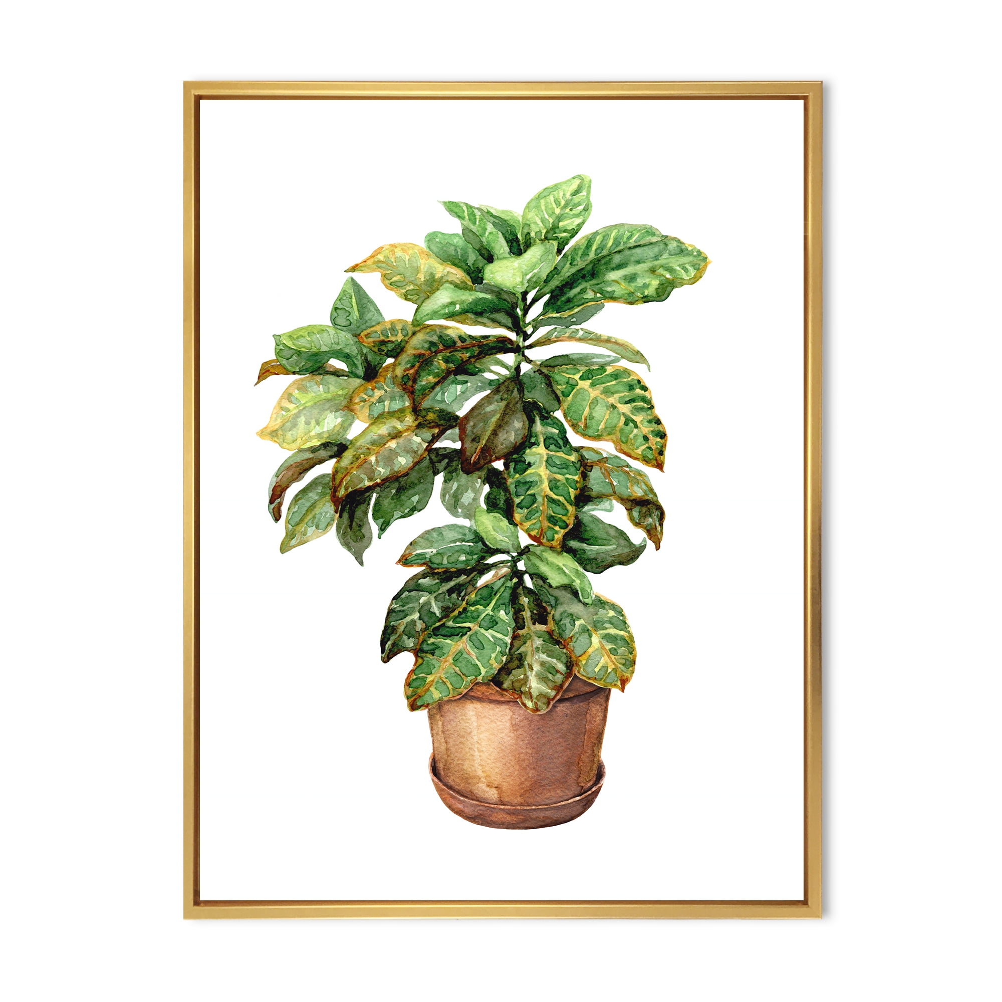 Designart 'Green Croton In Clay Flowerpot' Traditional Framed Canvas Wall Art Print