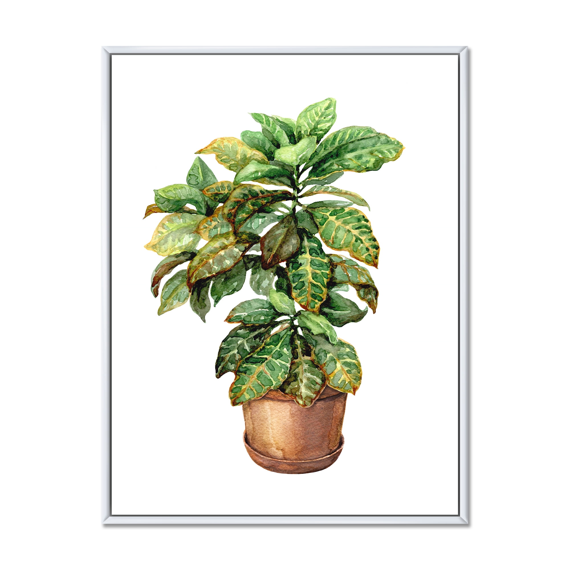 Designart 'Green Croton In Clay Flowerpot' Traditional Framed Canvas Wall Art Print