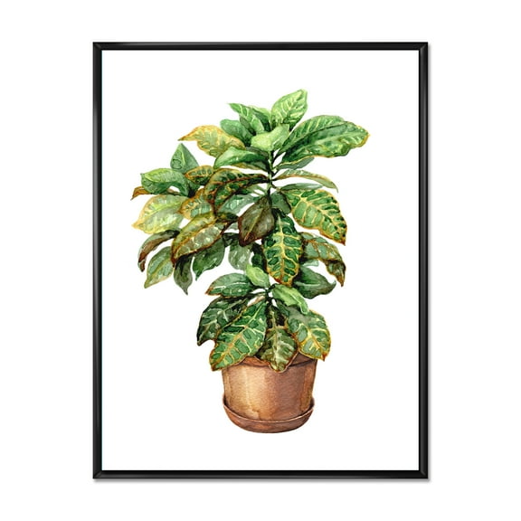 Designart 'Green Croton In Clay Flowerpot' Traditional Framed Canvas Wall Art Print