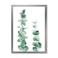 thumbnail image 1 of Designart 'Green Eucalyptus Branch' Tropical Framed Art Print, 1 of 4