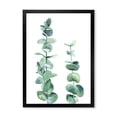 thumbnail image 1 of Designart 'Green Eucalyptus Branch' Tropical Framed Art Print, 1 of 4