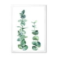 thumbnail image 1 of Designart 'Green Eucalyptus Branch' Tropical Framed Art Print, 1 of 4