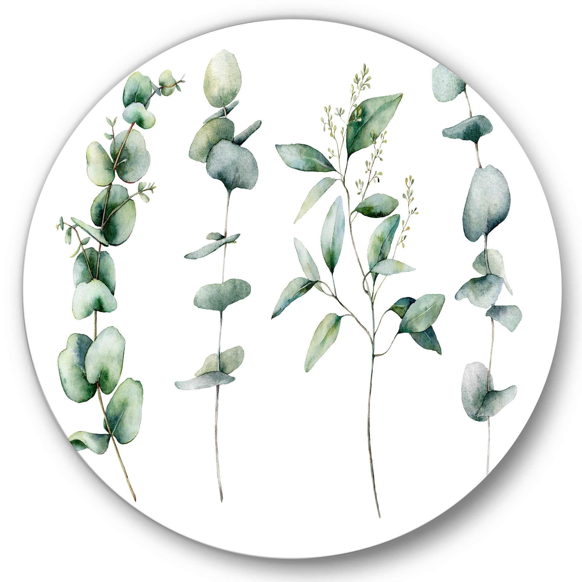 Designart 'Green Eucalyptus Plant Branches I' Traditional Circle Metal Wall Art 11x11 - Disc of 11