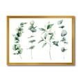 thumbnail image 1 of Designart 'Green Eucalyptus Plant Branches I' Traditional Framed Art Print, 1 of 4