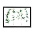 thumbnail image 1 of Designart 'Green Eucalyptus Plant Branches I' Traditional Framed Art Print, 1 of 4