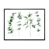 Designart 'Green Eucalyptus Plant Branches I' Traditional Framed Canvas Wall Art Print