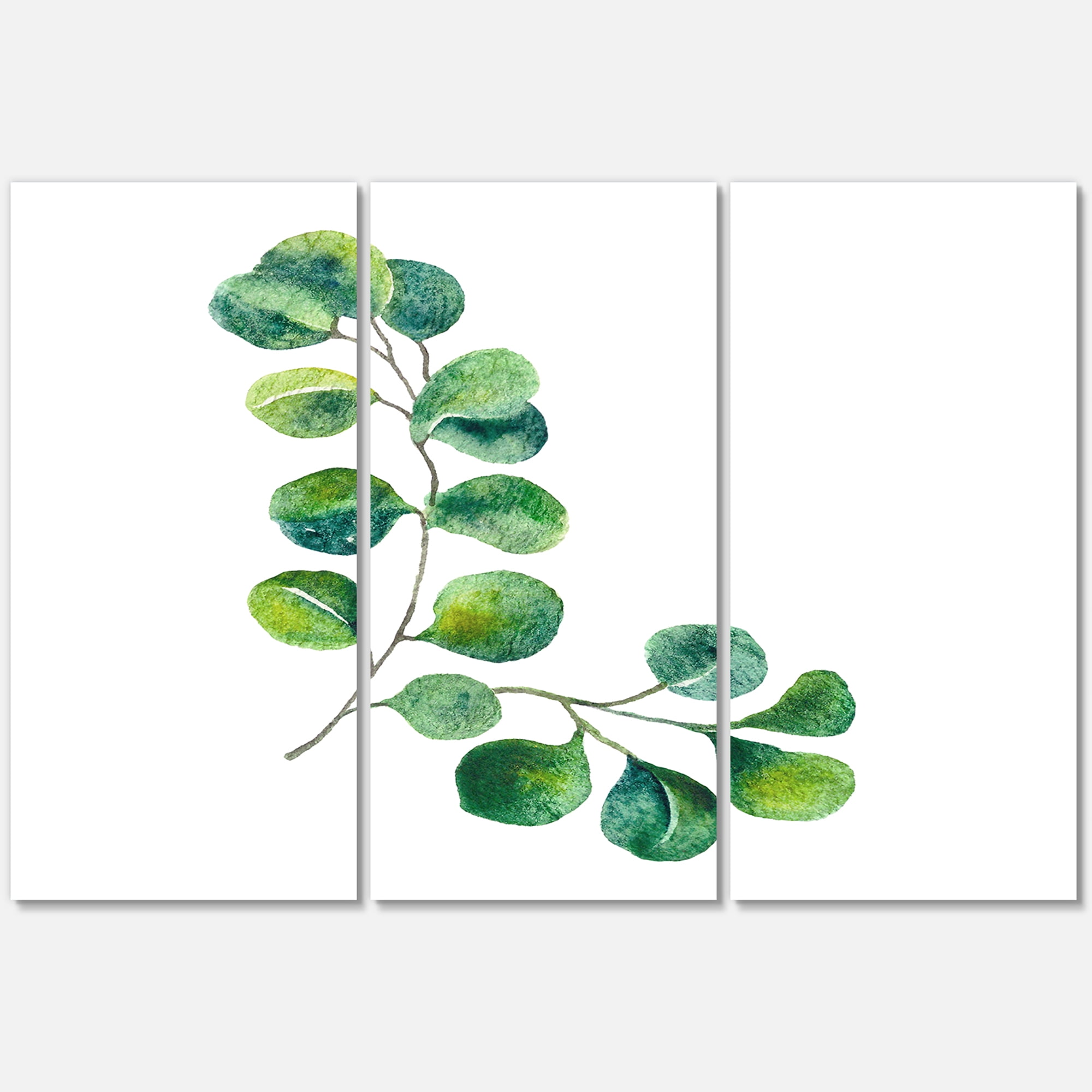 Designart ' Green Eucalyptus Plant Branches II ' Traditional Canvas Wall Art Print