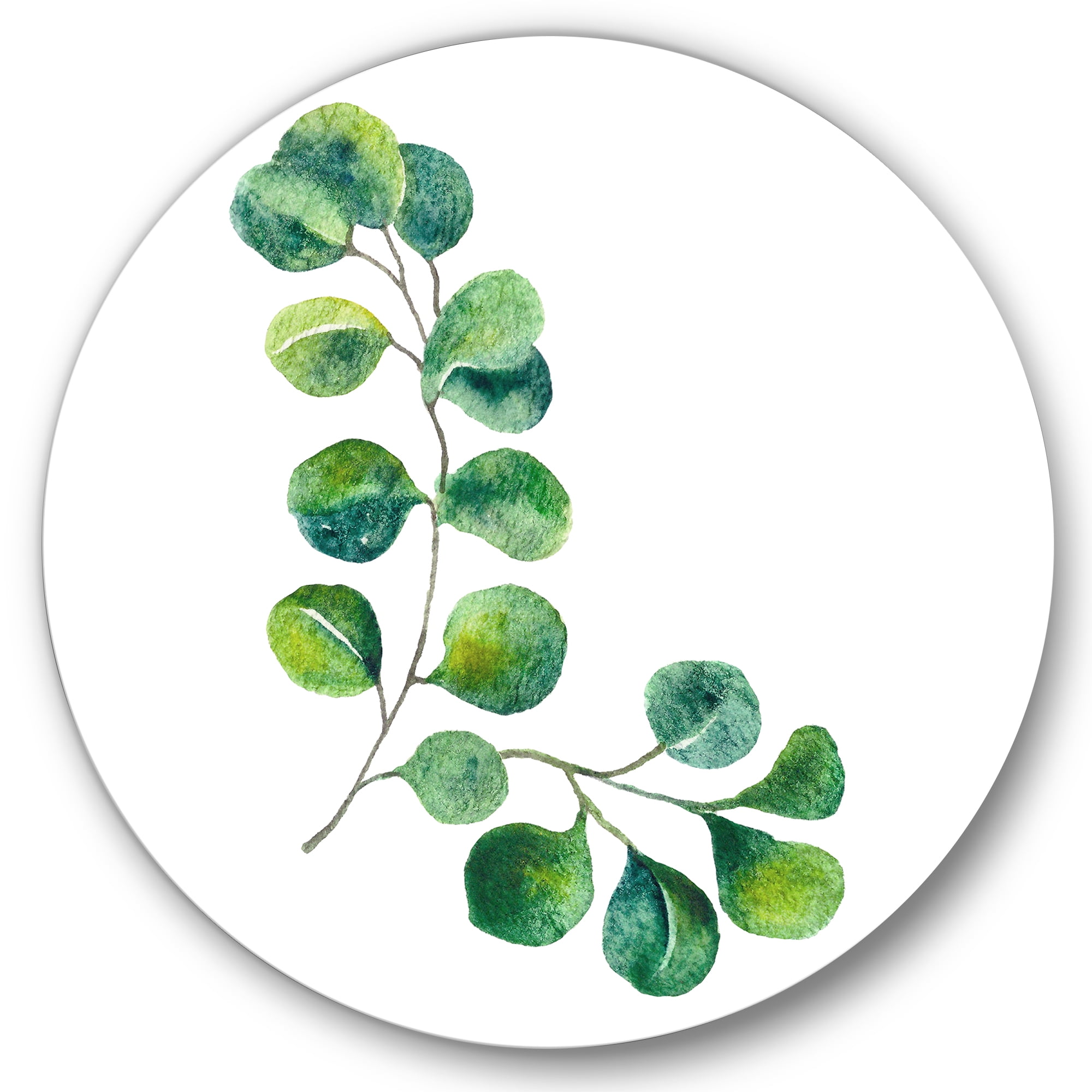 Designart 'Green Eucalyptus Plant Branches II' Traditional Circle Metal Wall Art 29x29 - Disc of 29