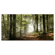Designart 'Green Fall Forest with Sun Rays ' Landscape Photography Canvas Print