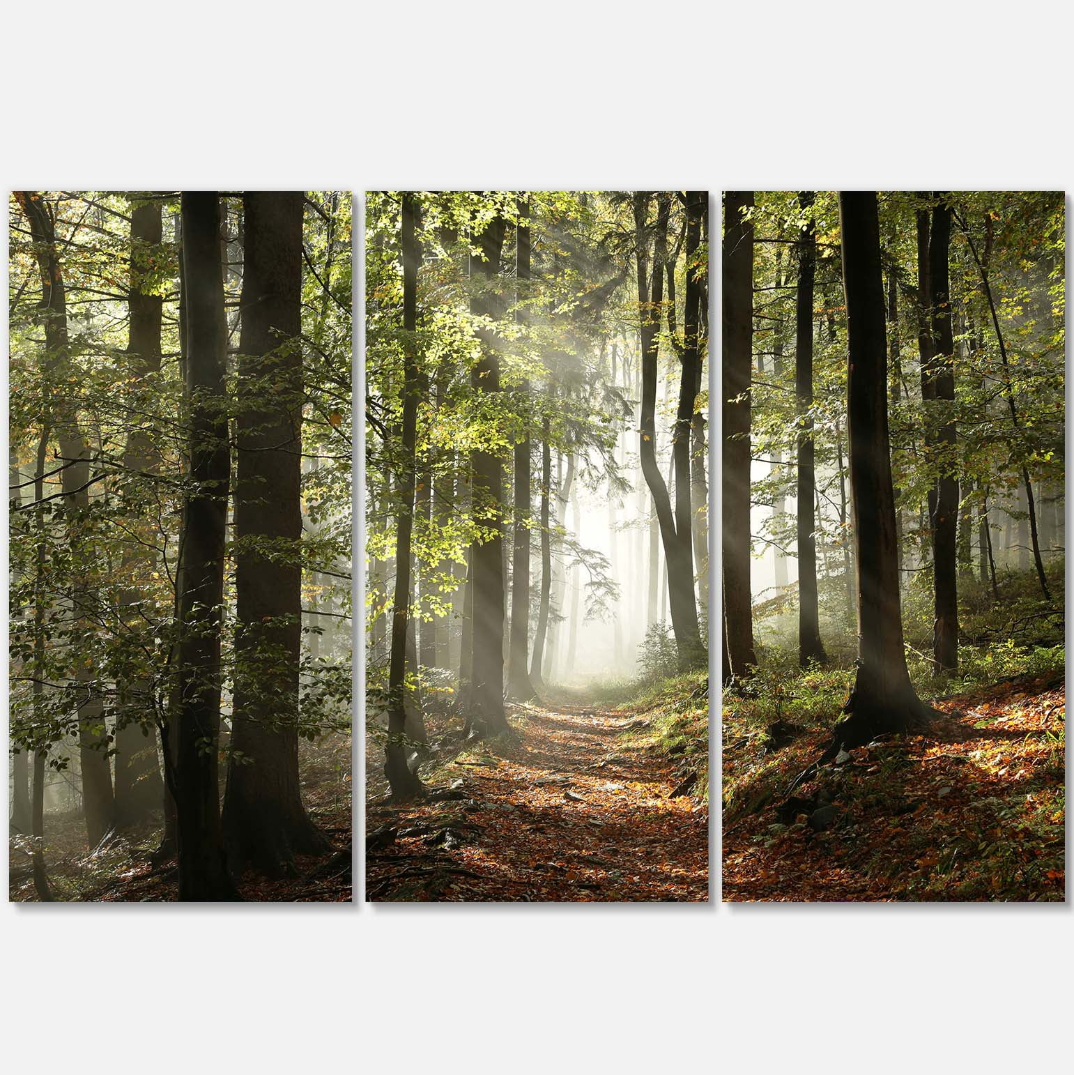 Green Fall Forest with Sun Rays Landscape Canvas Print, 36" x 28"