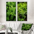 thumbnail image 1 of Designart "Green Fern Fonds Nature s Elegance I" Floral Framed Wall Art Set Of 2 - Green Floral Frame Gallery Set For Office Decor, 1 of 7