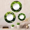 thumbnail image 1 of Designart "Green Fern Fonds Nature s Elegance II" Floral Round Mirror Set Of 3 - Modern Green Round Bathroom Wall Mirror Set, 1 of 5