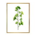 thumbnail image 1 of Designart 'Green Field Plant Foliage Branch' Farmhouse Framed Canvas Wall Art Print, 1 of 5