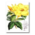 thumbnail image 1 of Designart ' Green Leaves With Tropical Yellow Flowers II ' Traditional Canvas Wall Art Print, 1 of 4