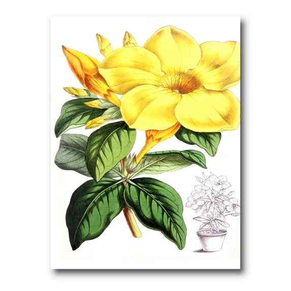 Designart ' Green Leaves With Tropical Yellow Flowers II ' Traditional Canvas Wall Art Print