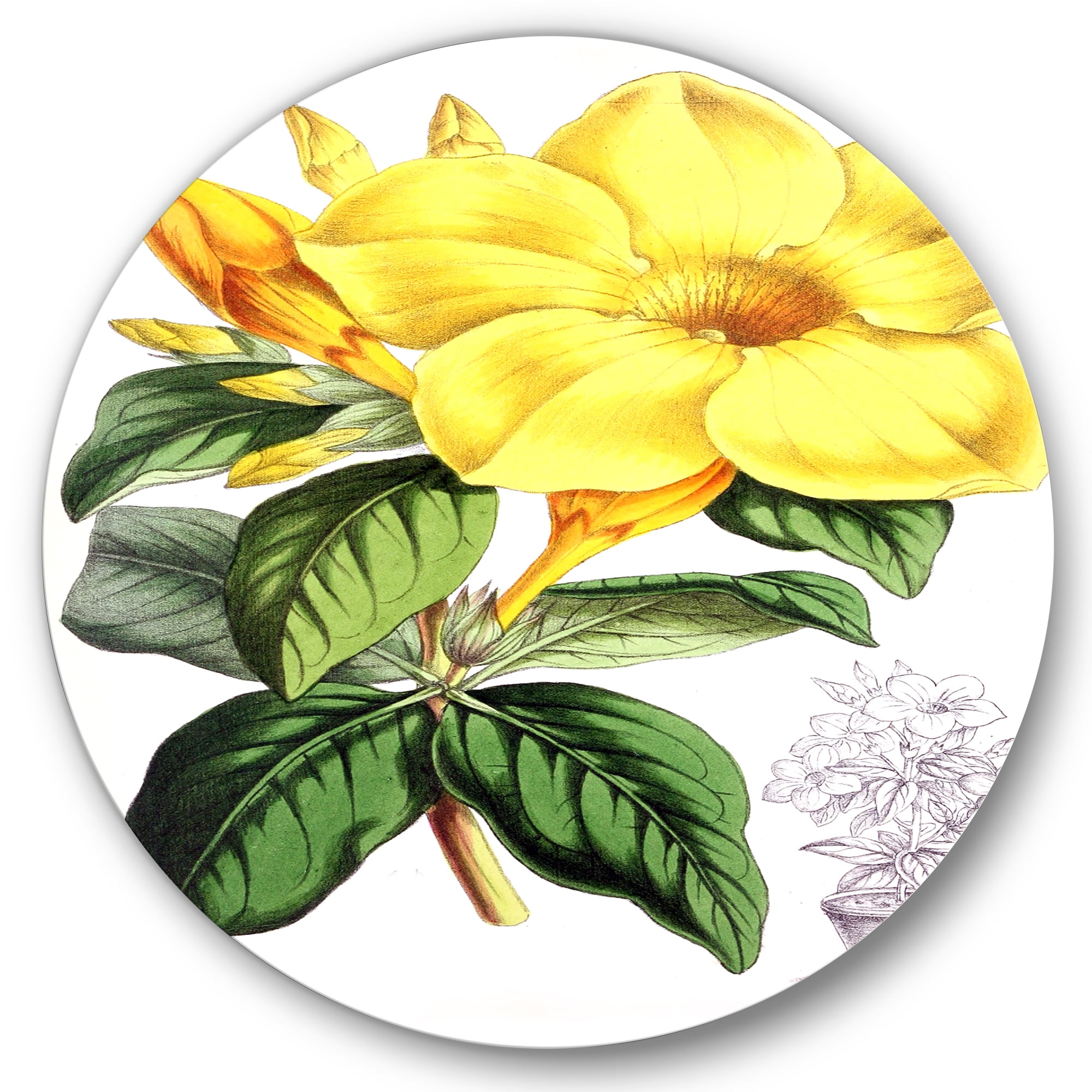 Designart 'Green Leaves With Tropical Yellow Flowers II' Traditional Circle Metal Wall Art 29x29 - Disc of 29