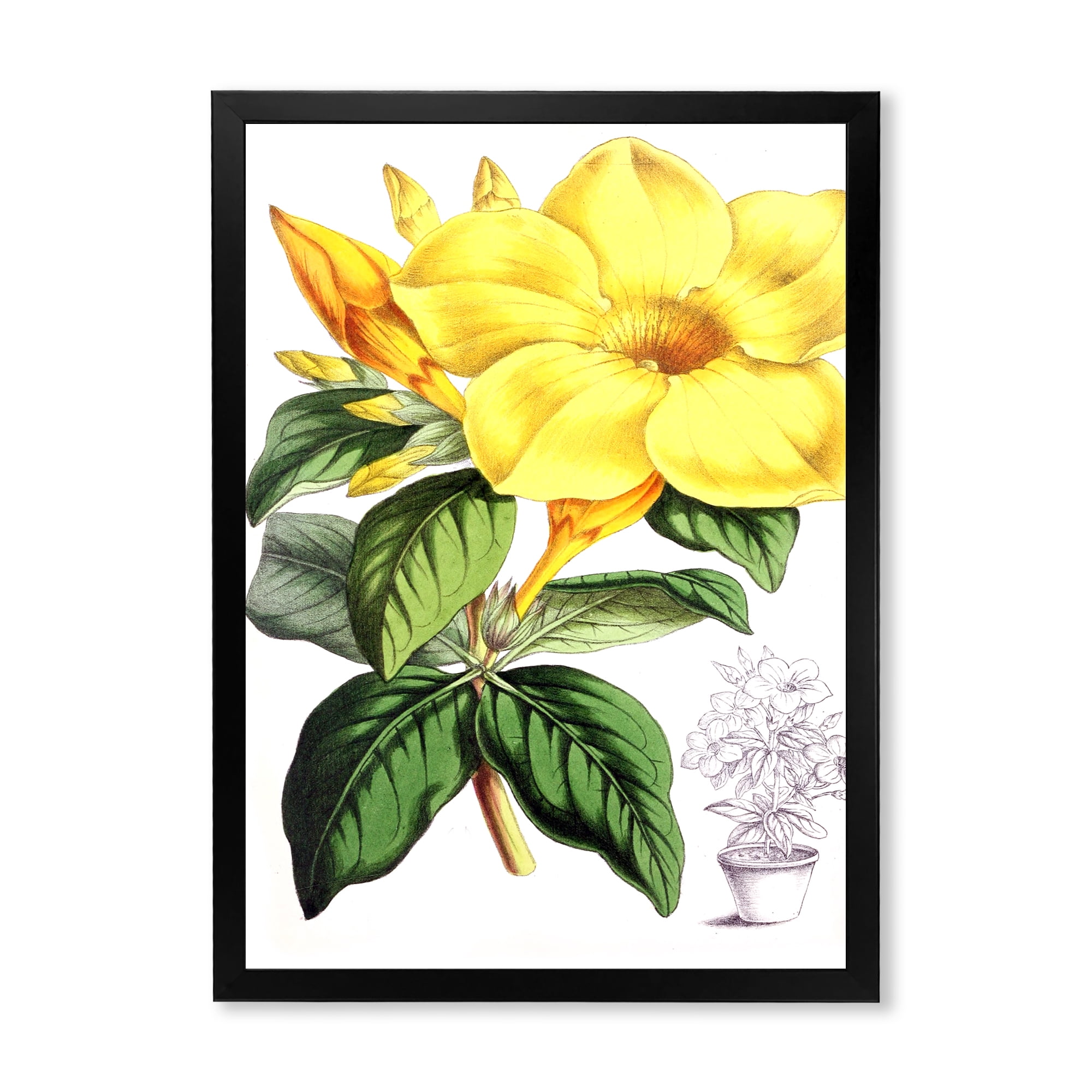 Designart 'Green Leaves With Tropical Yellow Flowers II' Traditional Framed Art Print
