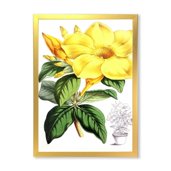 Designart 'Green Leaves With Tropical Yellow Flowers II' Traditional Framed Art Print