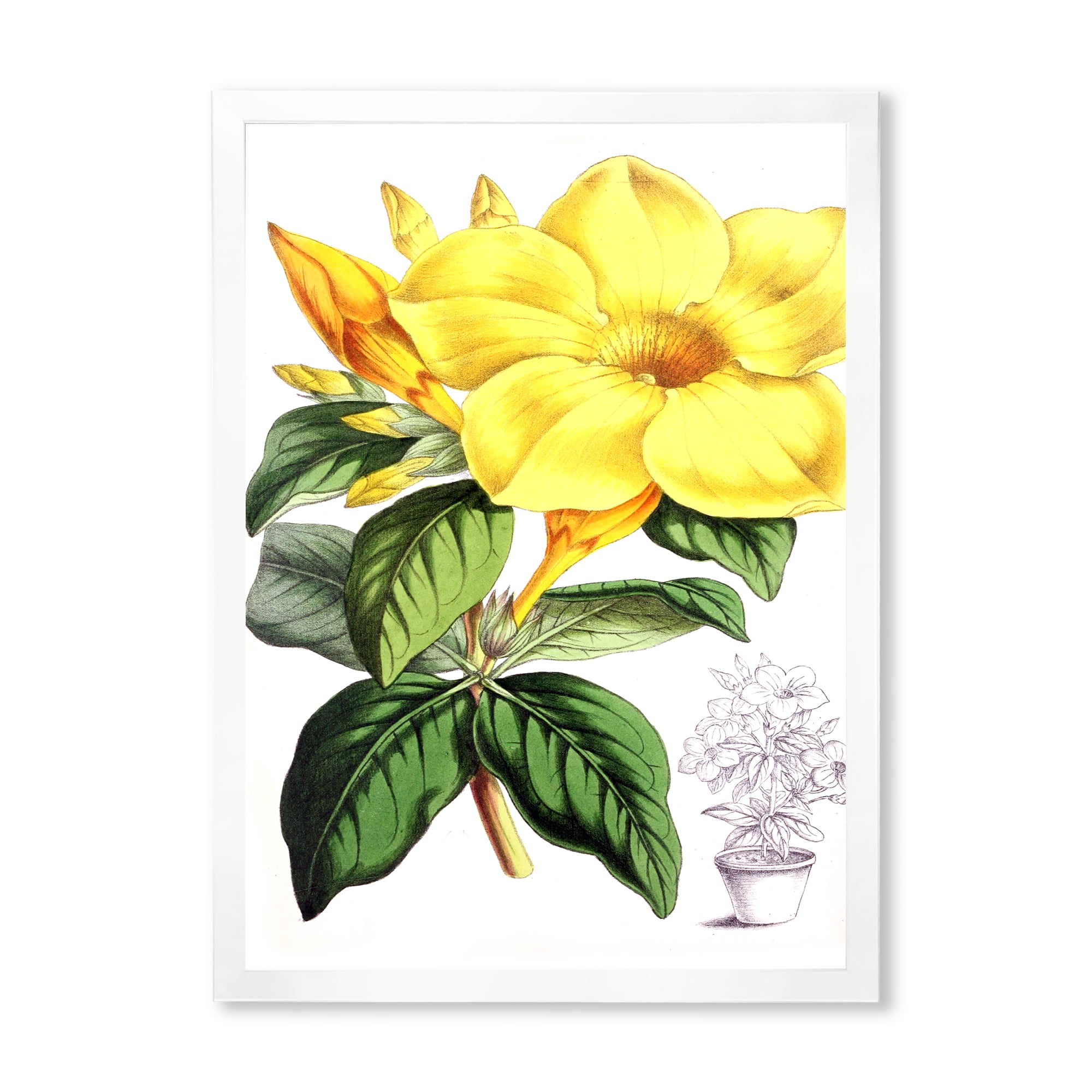 Designart 'Green Leaves With Tropical Yellow Flowers II' Traditional Framed Art Print