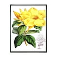 thumbnail image 1 of Designart 'Green Leaves With Tropical Yellow Flowers II' Traditional Framed Canvas Wall Art Print, 1 of 5
