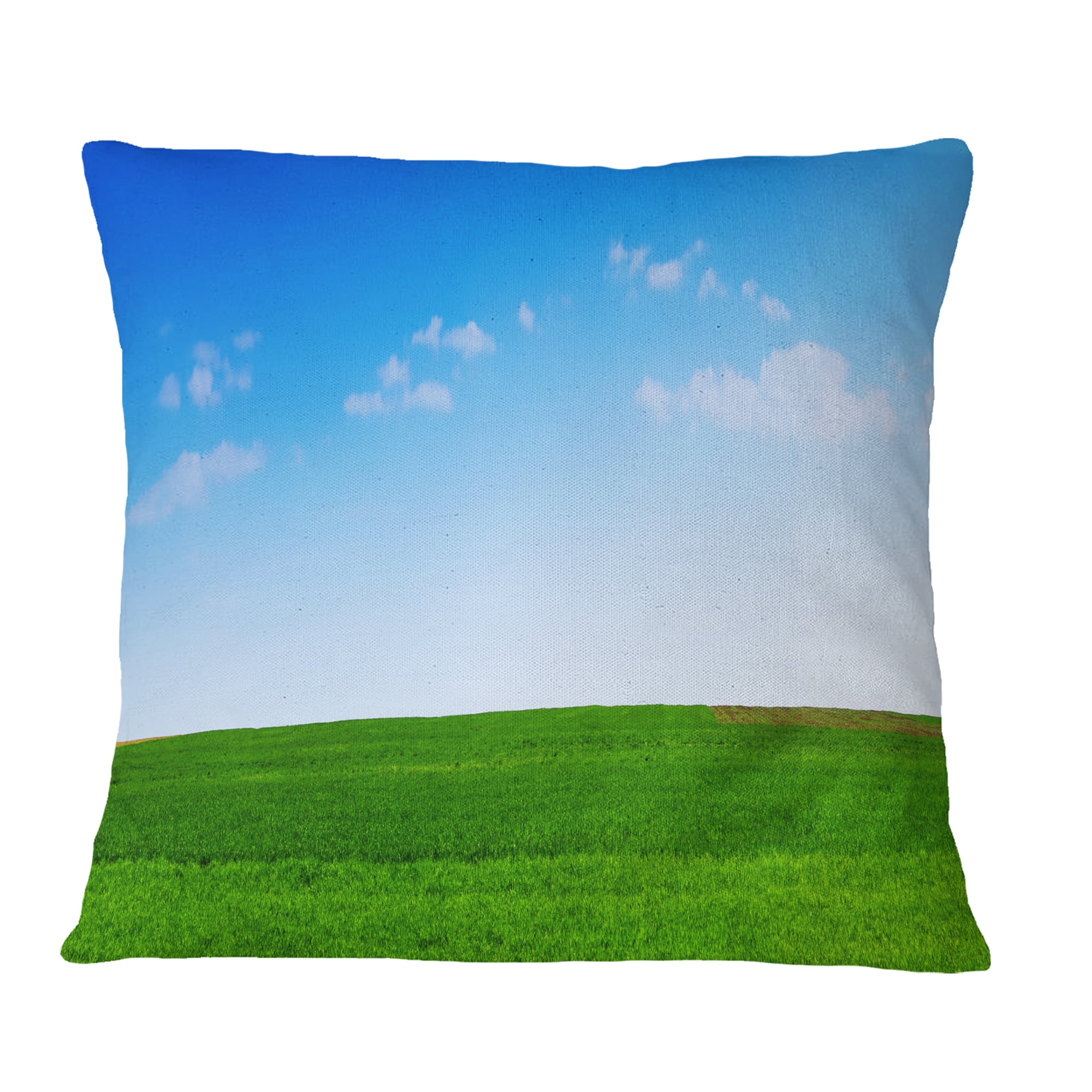 Designart Green Meadow Panorama - Landscape Printed Throw Pillow - 16x16