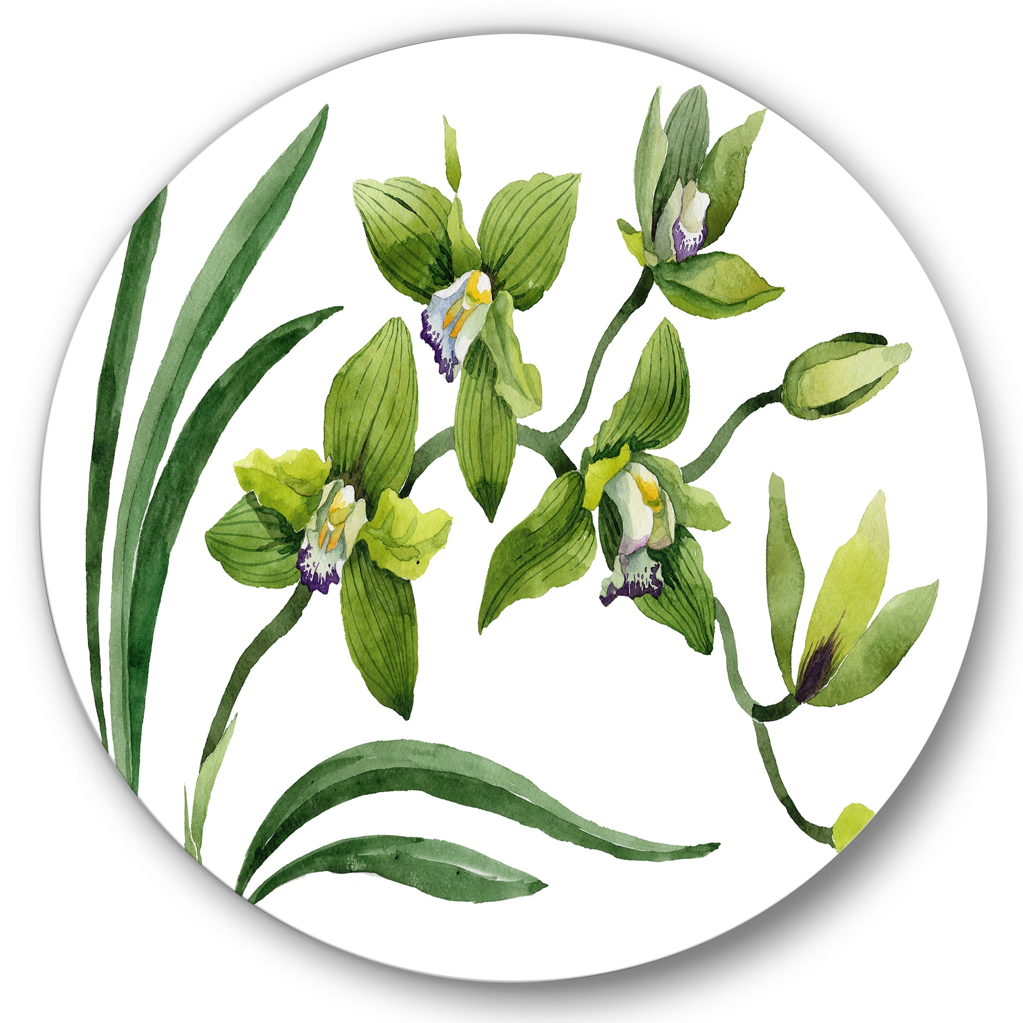 Designart 'Green Orchid Flowers On White' Traditional Circle Metal Wall Art 29x29 - Disc of 29