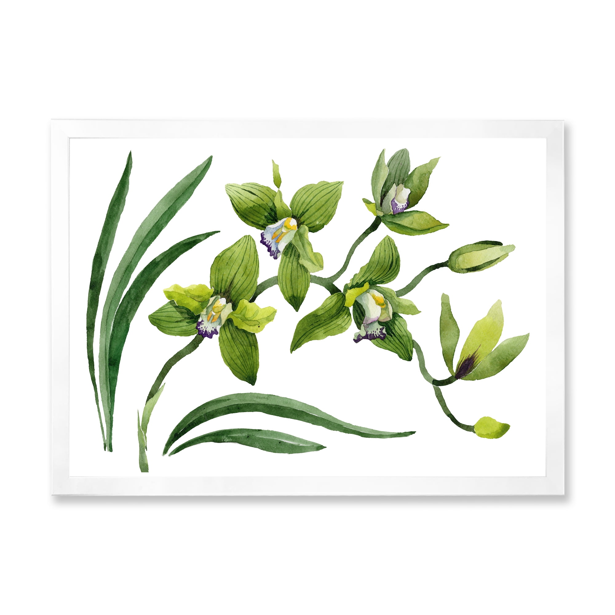 Designart 'Green Orchid Flowers On White' Traditional Framed Art Print