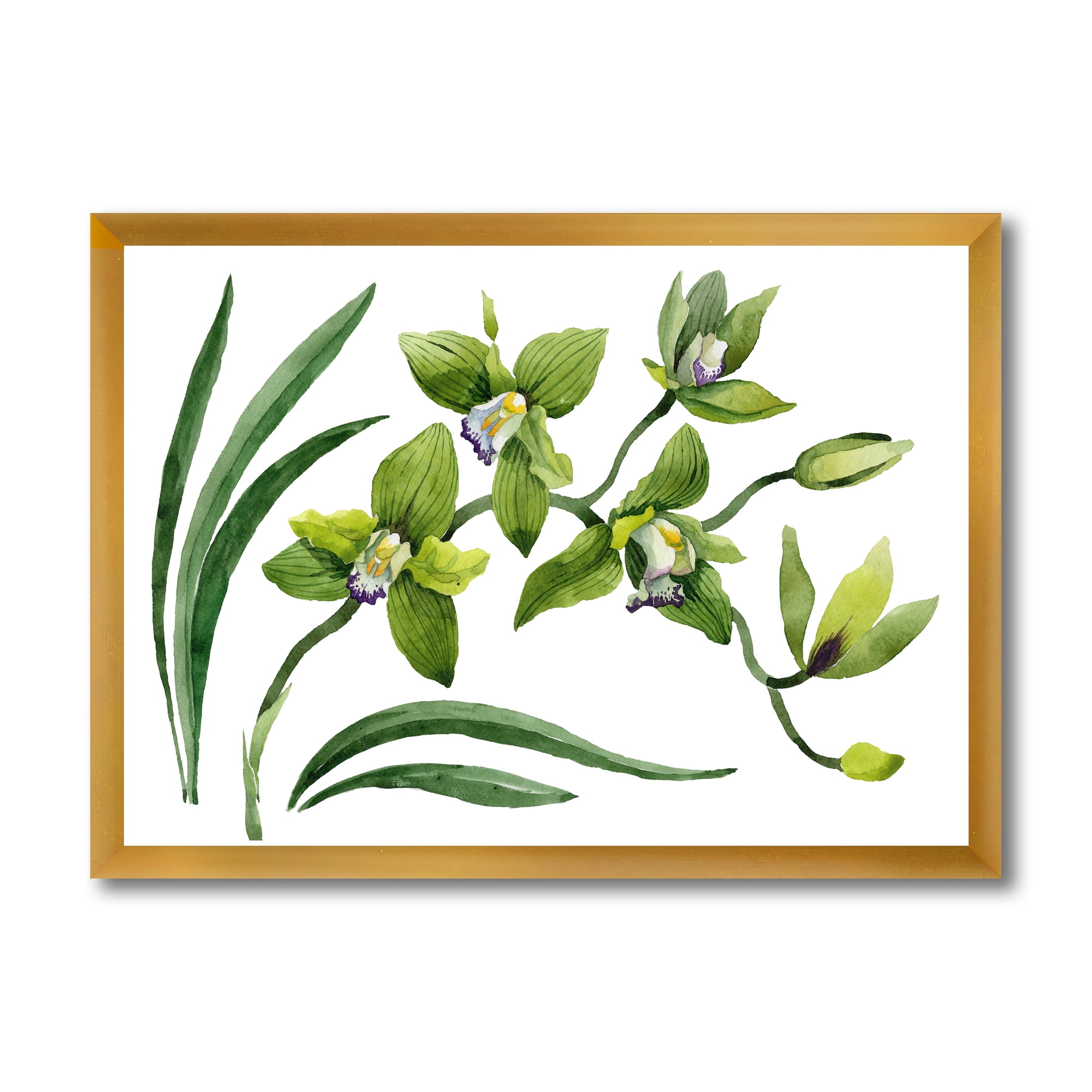 Designart 'Green Orchid Flowers On White' Traditional Framed Art Print