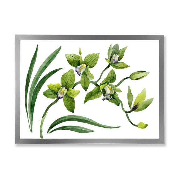 Designart 'Green Orchid Flowers On White' Traditional Framed Art Print