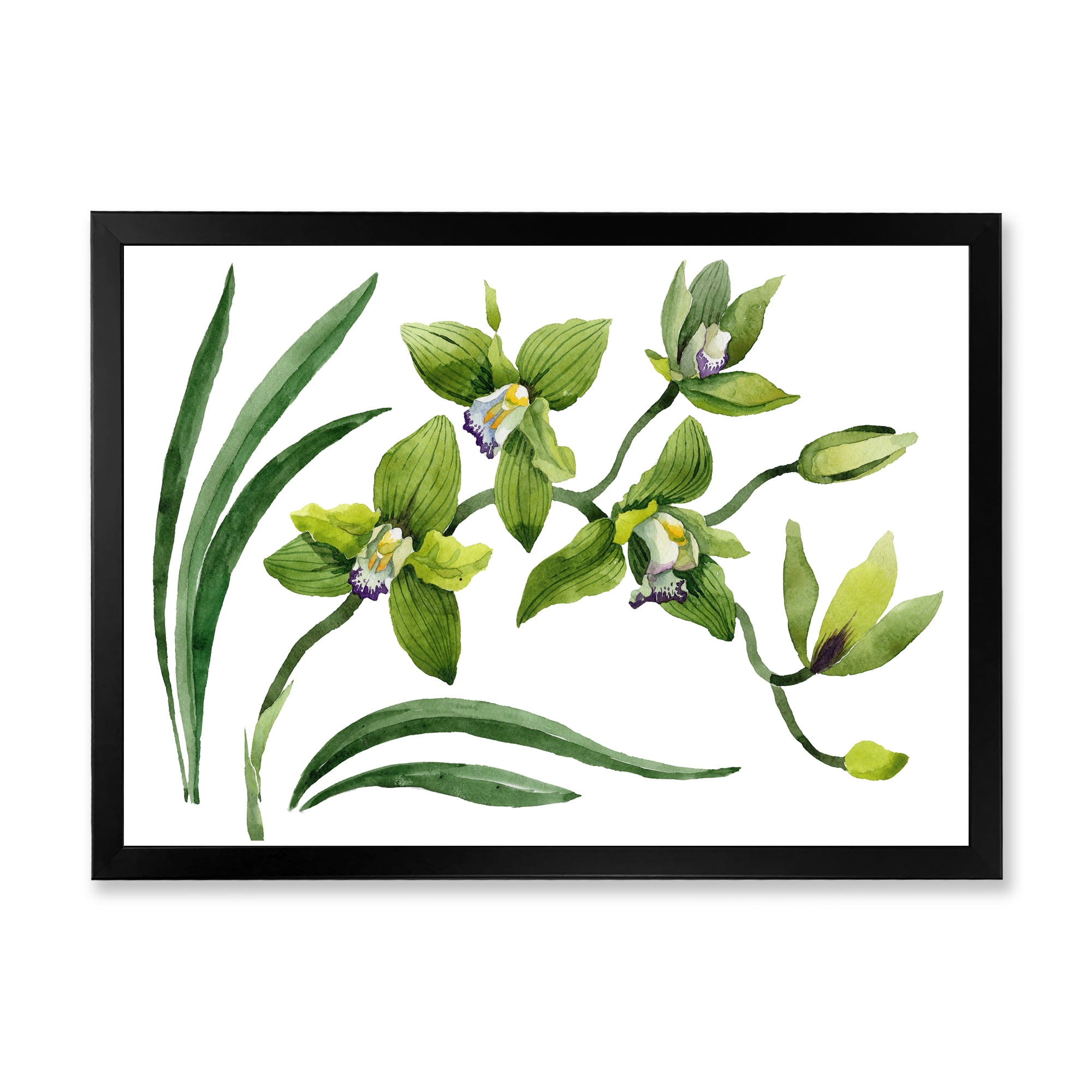 Designart 'Green Orchid Flowers On White' Traditional Framed Art Print