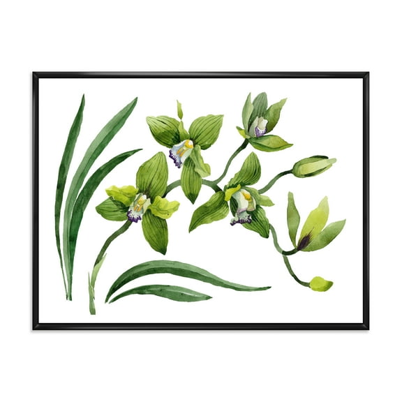 Designart 'Green Orchid Flowers On White' Traditional Framed Canvas Wall Art Print