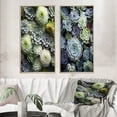thumbnail image 1 of Designart "Green Succulents Flowers peaceful Succulents II" Succulent Framed Wall Art Set Of 2 - Green Floral Framed Canvas Set For Living Room Decor, 1 of 7