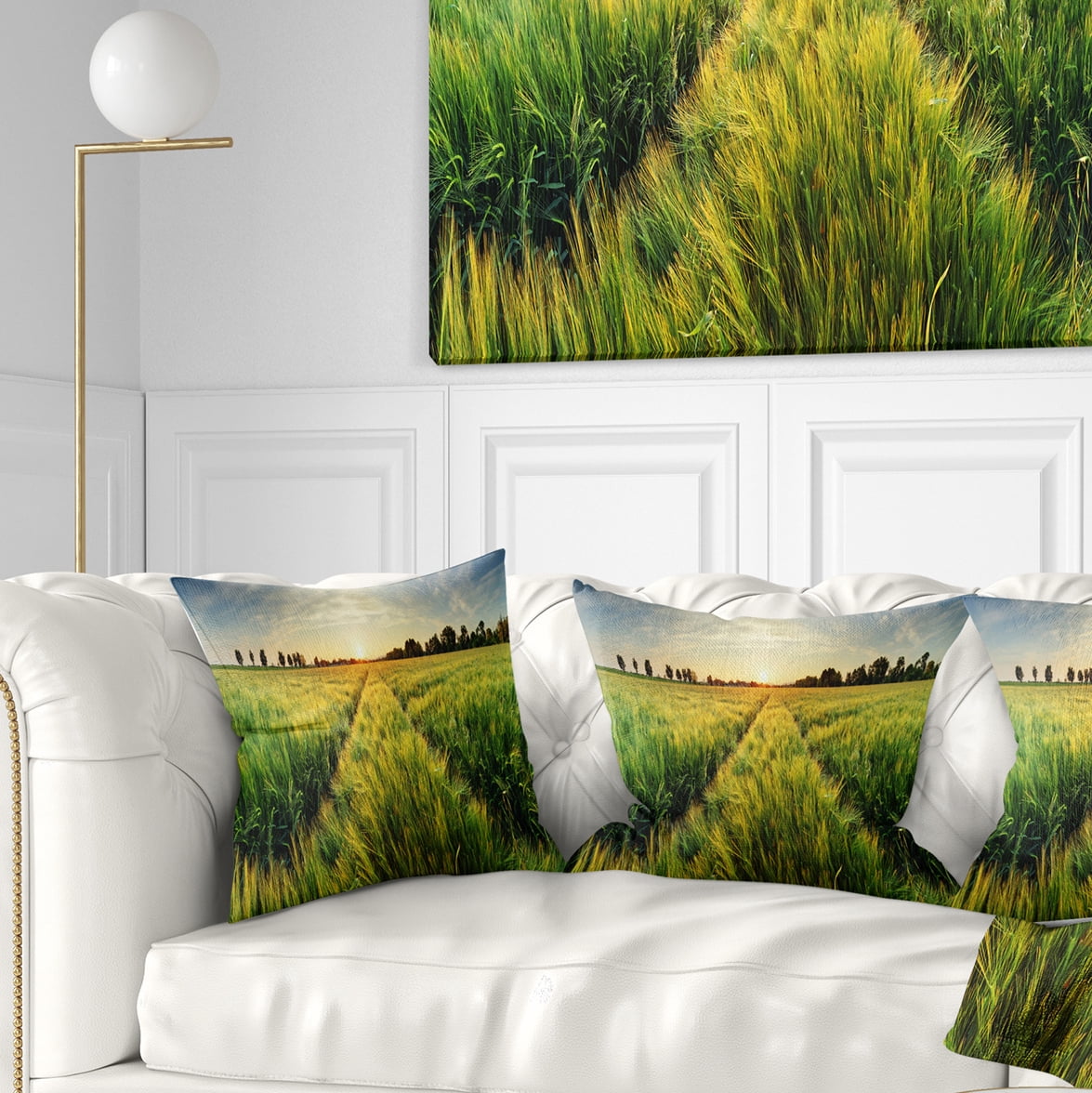 Designart Green Wheat Field at Sunset - Landscape Photography Throw Pillow - 18x18