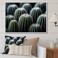 thumbnail image 1 of Designart "Green White Cactus Sublime Simplicity" Floral Floater Framed Canvas Wall Art, 1 of 7