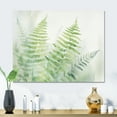 thumbnail image 1 of Designart "Green White peaceful Ferns IV" Abstract Botanicals Metal Wall Art Prints, 1 of 1