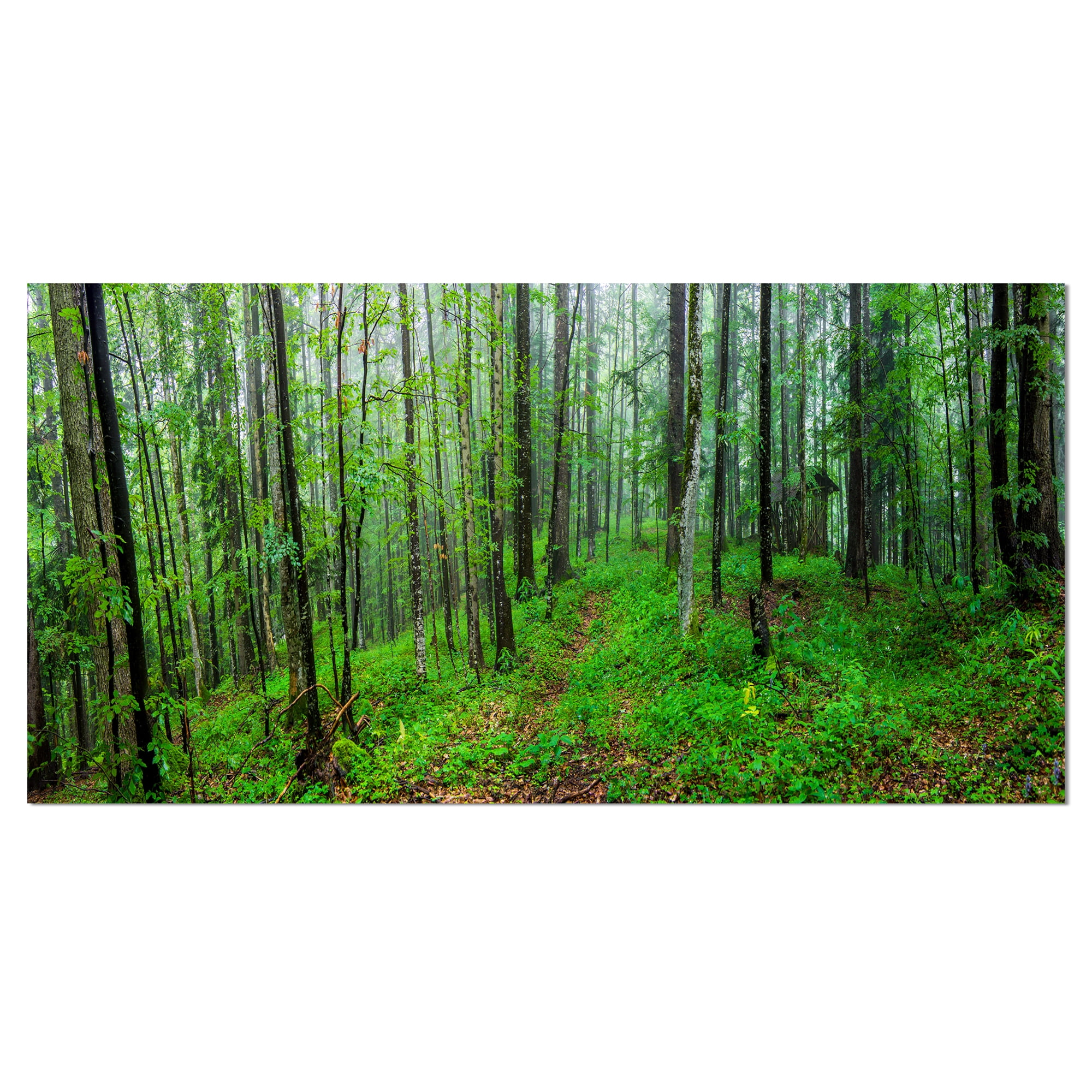 Large Green Forest Landscape Canvas Print with Wood Frame