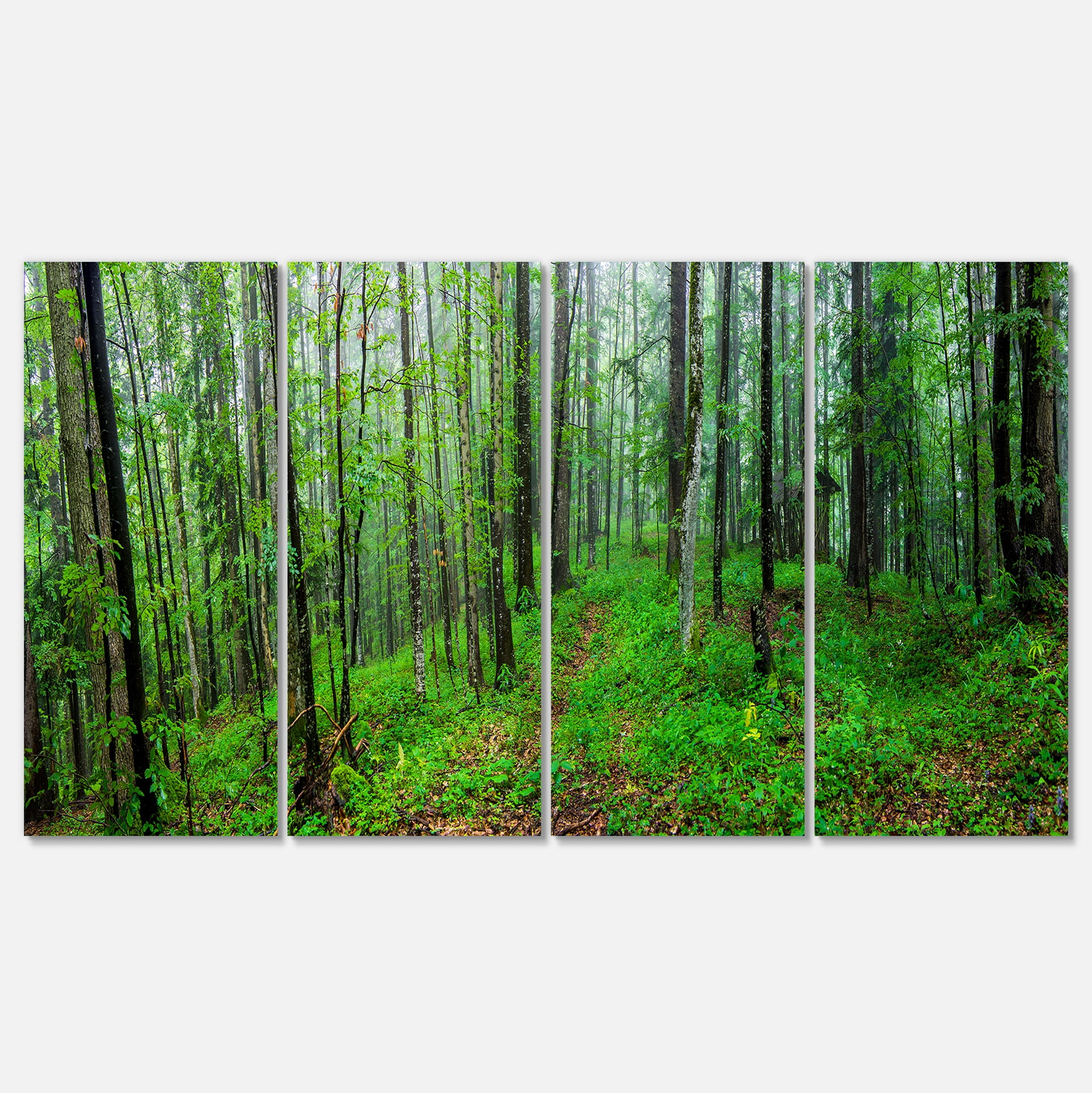Designart 'Green Wild Forest with Dense Trees ' Forest Canvas Art Print