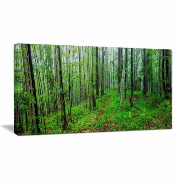 Designart 'Green Wild Forest with Dense Trees ' Forest Canvas Art Print