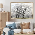 thumbnail image 1 of Designart "Grey 0 Maple Tree Silent " Floral Floater Framed Canvas Print, 1 of 7