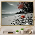 thumbnail image 1 of Designart "Grey Red Beach Seashell Euphony" Nautical & Beach Floater Framed Wall Art Print, 1 of 7