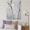 thumbnail image 1 of Designart "Grey Sycamore Shade Minimalism" Tree Sycamore Wall Art Prints, 1 of 7