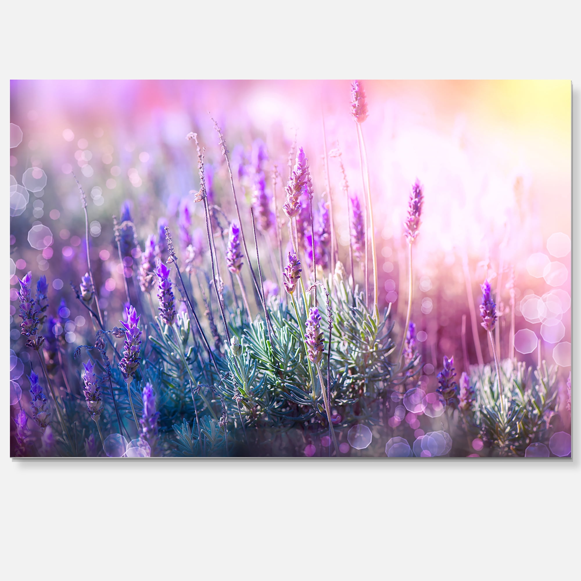 Designart 'Growing and Blooming Lavender ' Floral Metal Wall Art