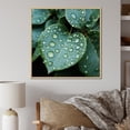 thumbnail image 1 of Designart "Harmony In Aqua Leaf Photography I" Leaves Floater Framed Wall Decor, 1 of 5