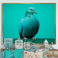 thumbnail image 1 of Designart "Harmony Of Tranquil Dove III" Dove Floater Framed Wall Art Prints, 1 of 5