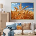 thumbnail image 1 of Designart "Harvesting Gold in Canada I" Farmhouse Floater Framed Wall Art Print, 1 of 7